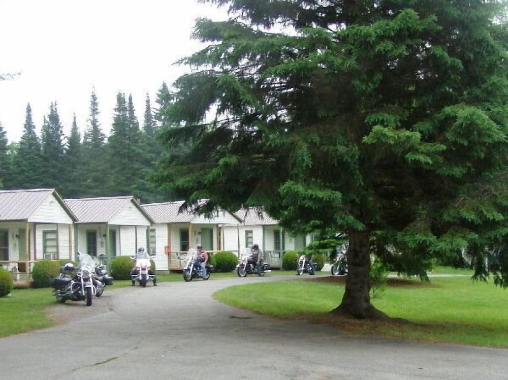 Pine Tree Motel & Cabins photo 25