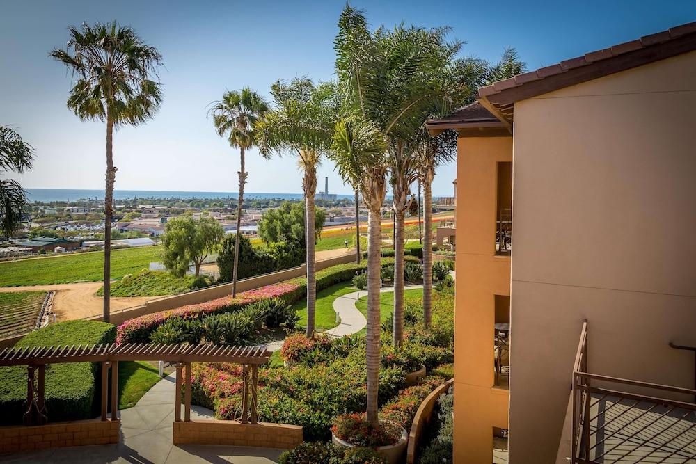 Grand Pacific Palisades photo 94