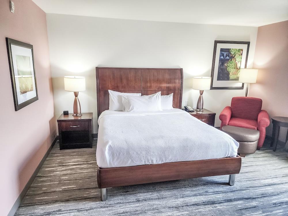 Hilton Garden Inn Memphis/Wolfchase Galleria photo 10