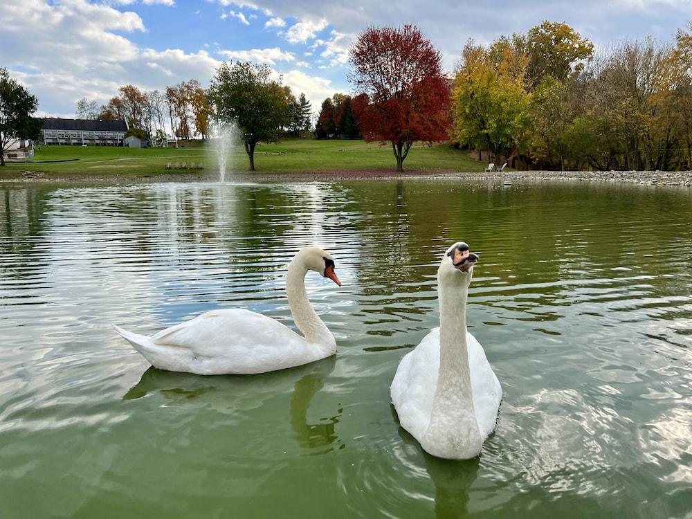 Hersey Farm Resort photo 31