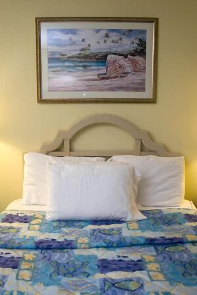 Oceanview Lodge photo 4