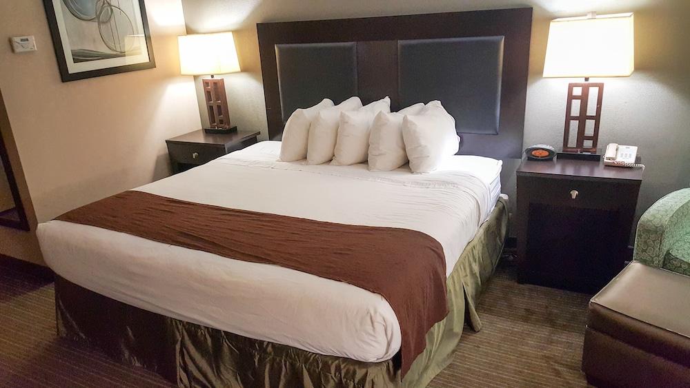 Quality Inn & Suites Charleston - Civic Center photo 21