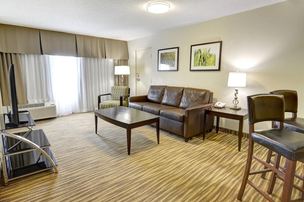 Holiday Inn St Petersburg N - Clearwater by IHG photo 8