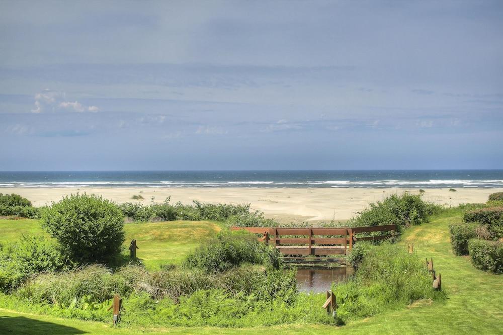 Little Creek Cove Beachfront Resort photo 2