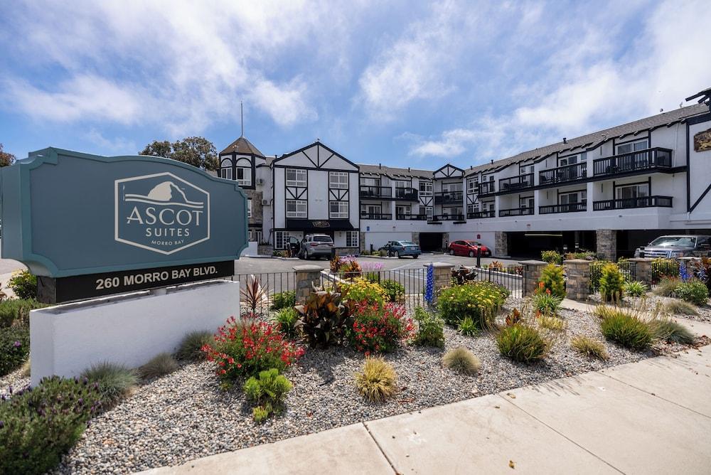 Ascot Suites photo 40