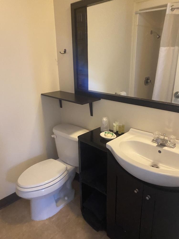 The Montrose Hotel photo 15