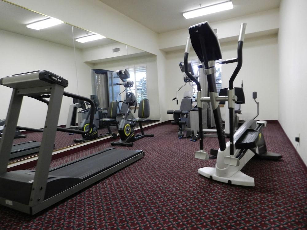 Ashmore Inn and Suites photo 37
