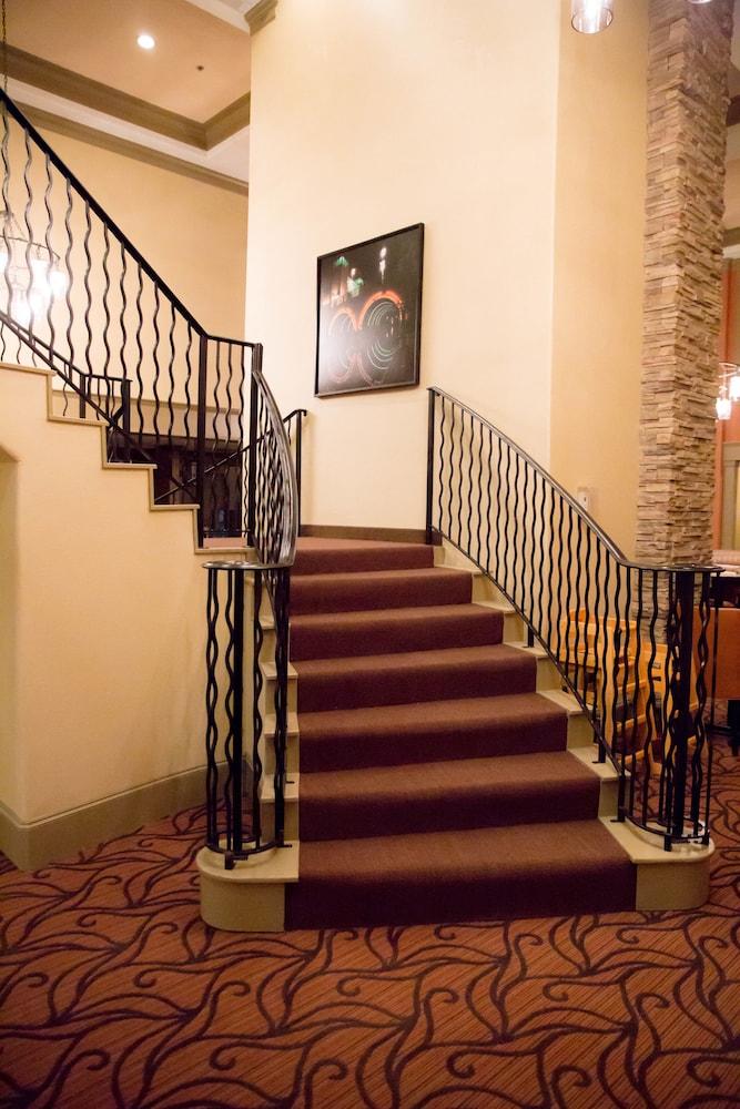 Homewood Suites by Hilton Houston-Woodlands photo 4