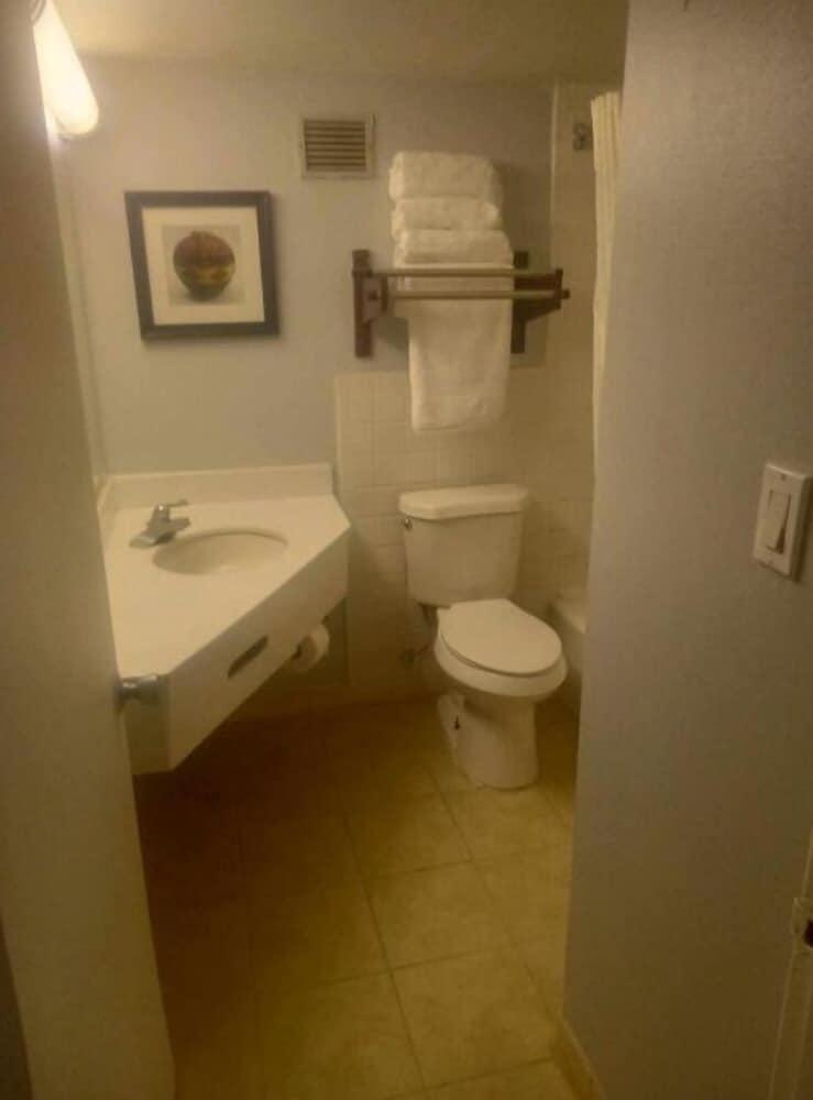 Signature Hotel photo 6