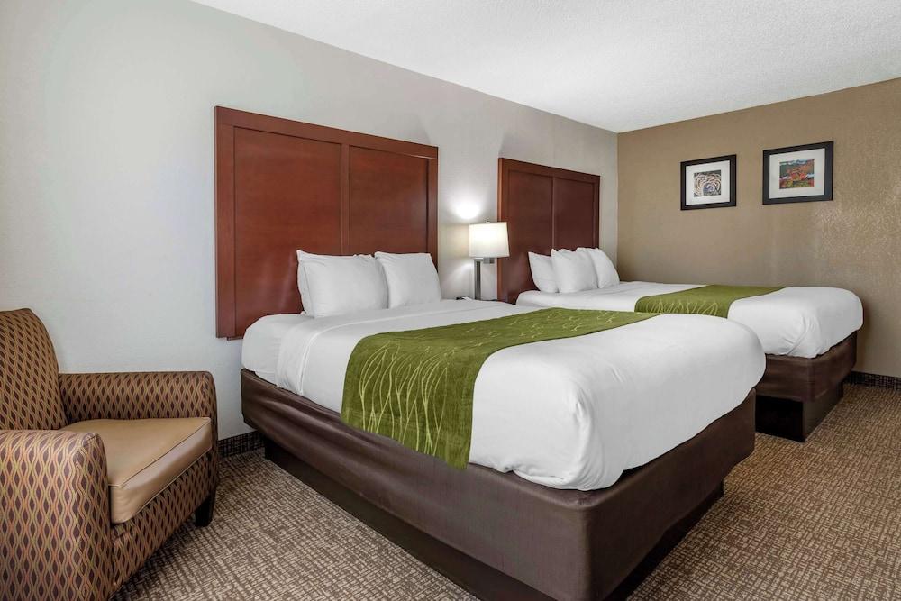 Comfort Inn Shelby photo 21