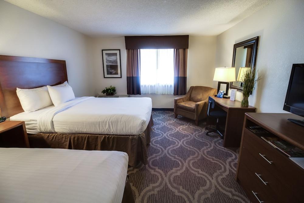 Ashmore Inn and Suites photo 24