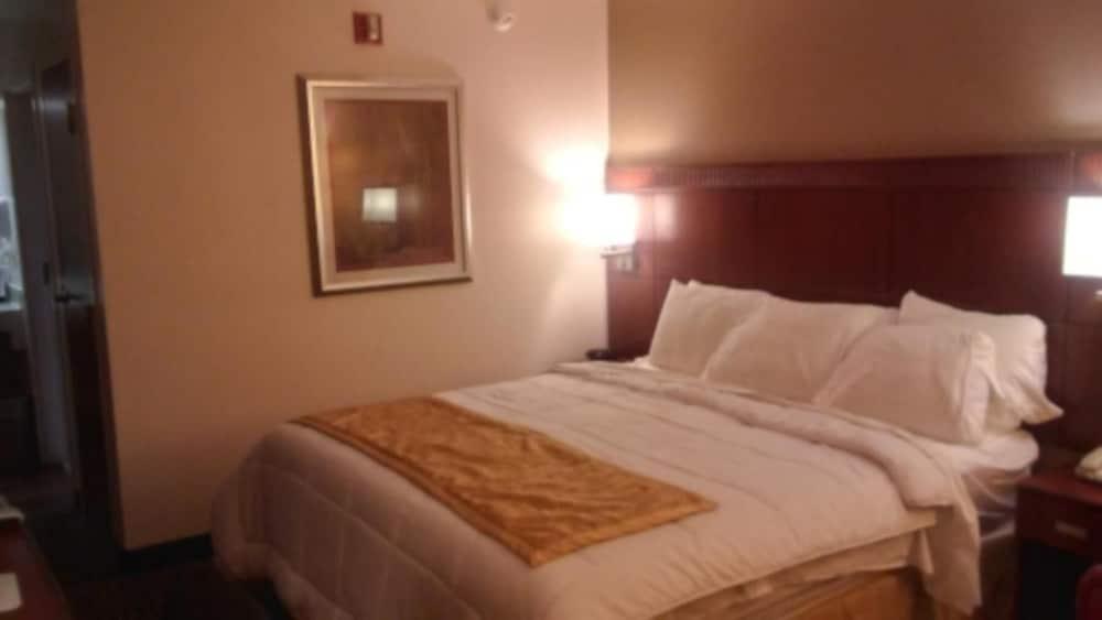 Nation's Inn photo 15