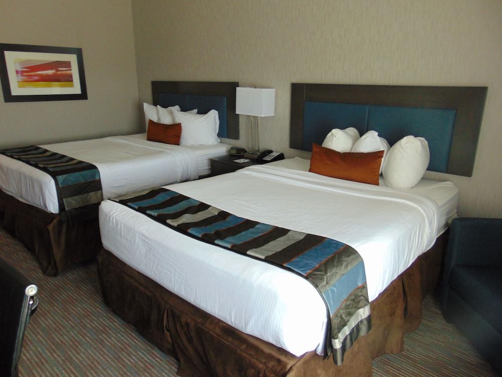 Wingate by Wyndham Lubbock near Texas Tech Univ. Medical Ctr photo 4