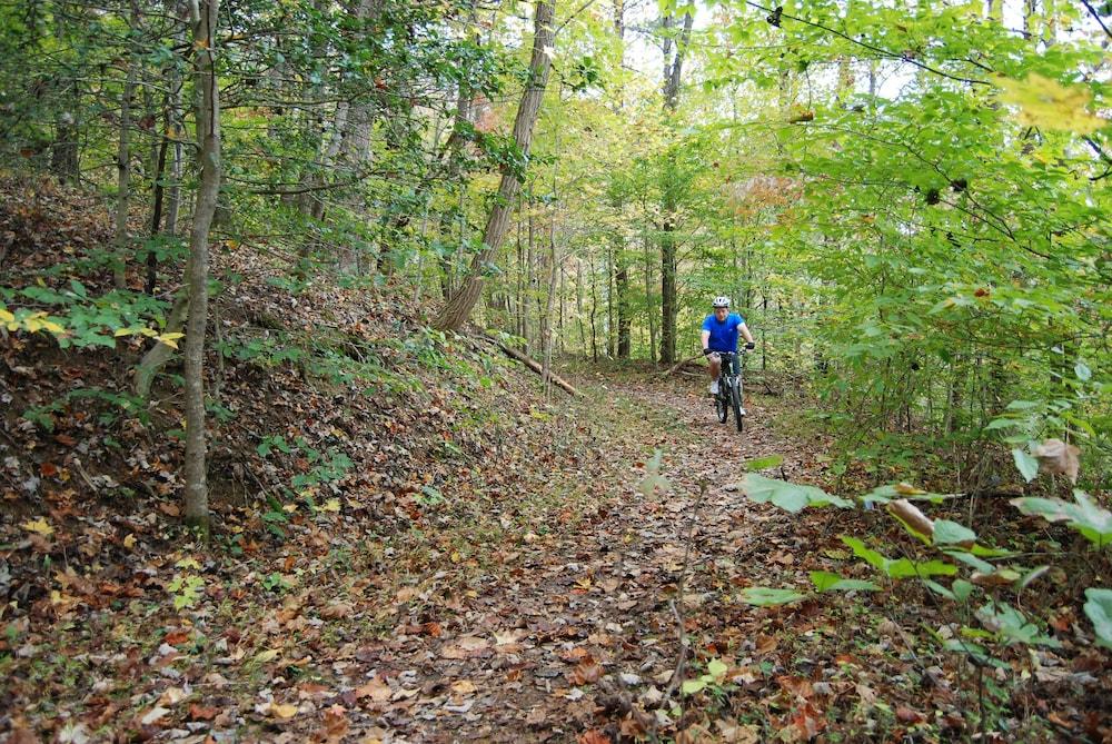 Jenny Wiley State Resort Park photo 18