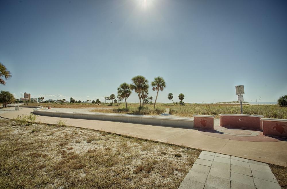Sands of Treasure Island photo 6
