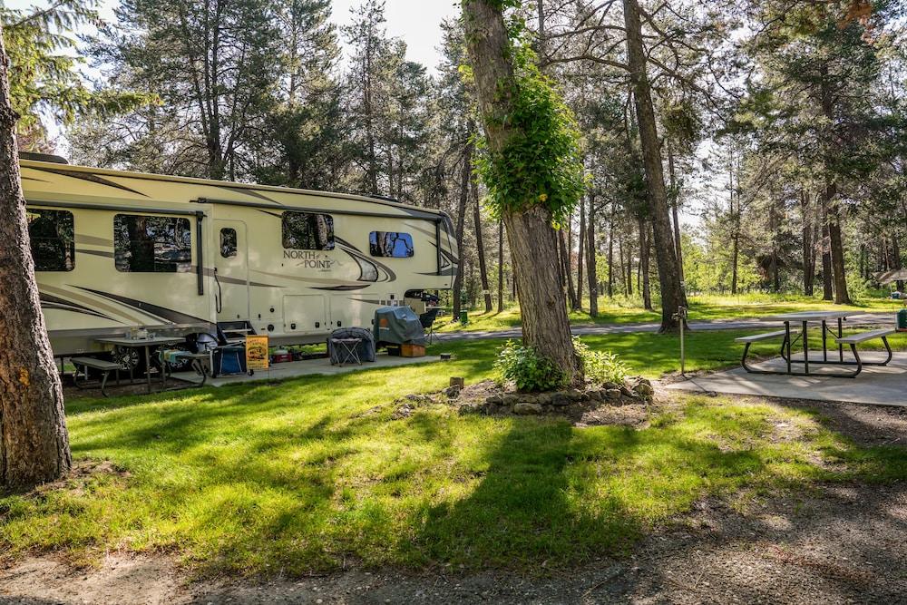 Alpine Lodge and RV photo 25
