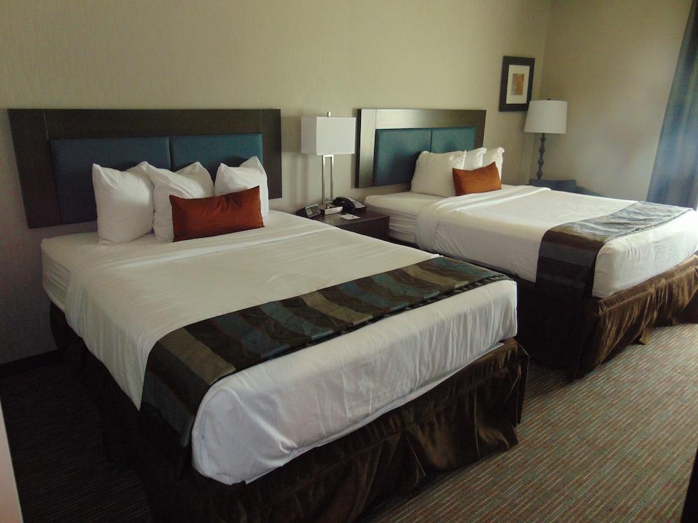 Wingate by Wyndham Lubbock near Texas Tech Univ. Medical Ctr photo 5