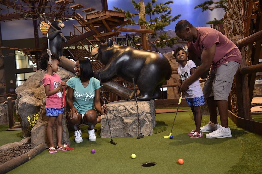 Great Wolf Lodge Atlanta / LaGrange, GA photo 68