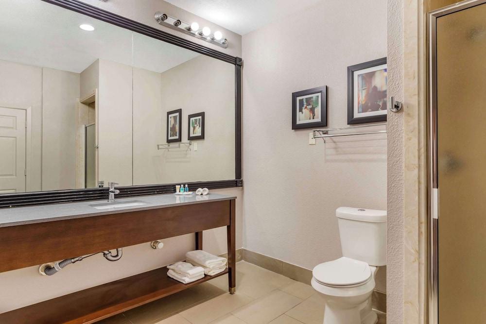 Comfort Suites Shenandoah-The Woodlands photo 26