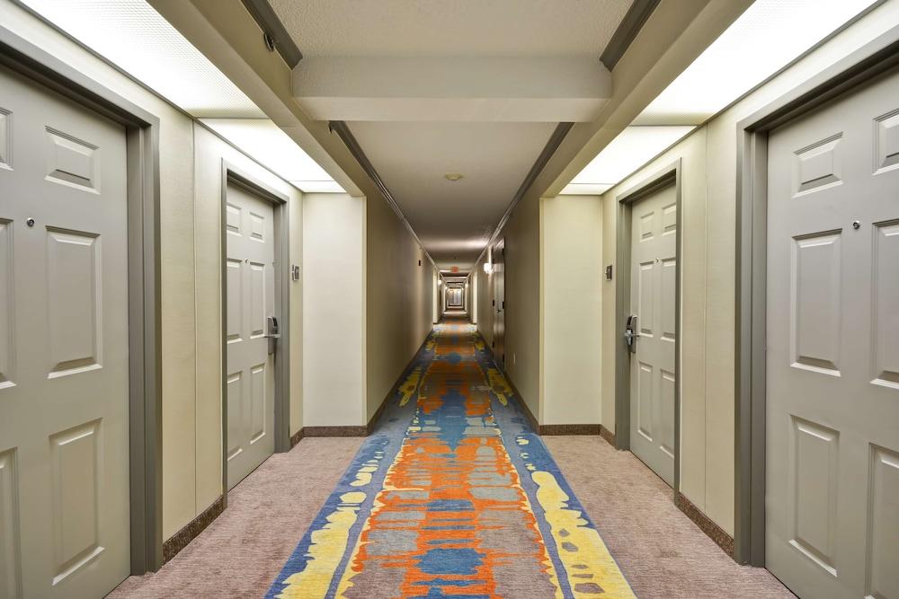 Homewood Suites by Hilton Durham-Chapel Hill / I-40 photo 2