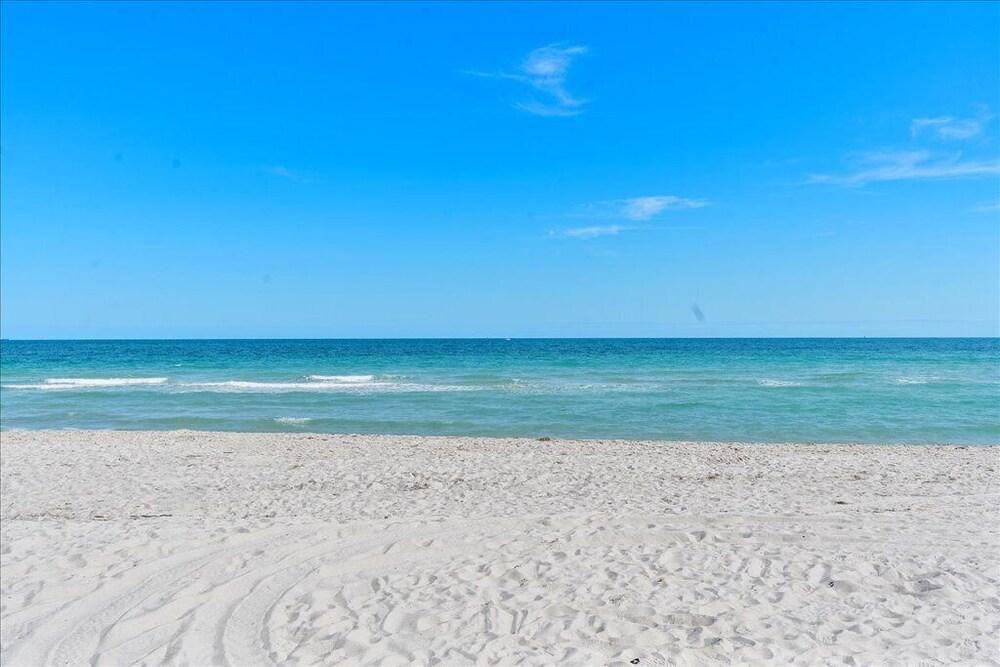 Palm By The Sea photo 28