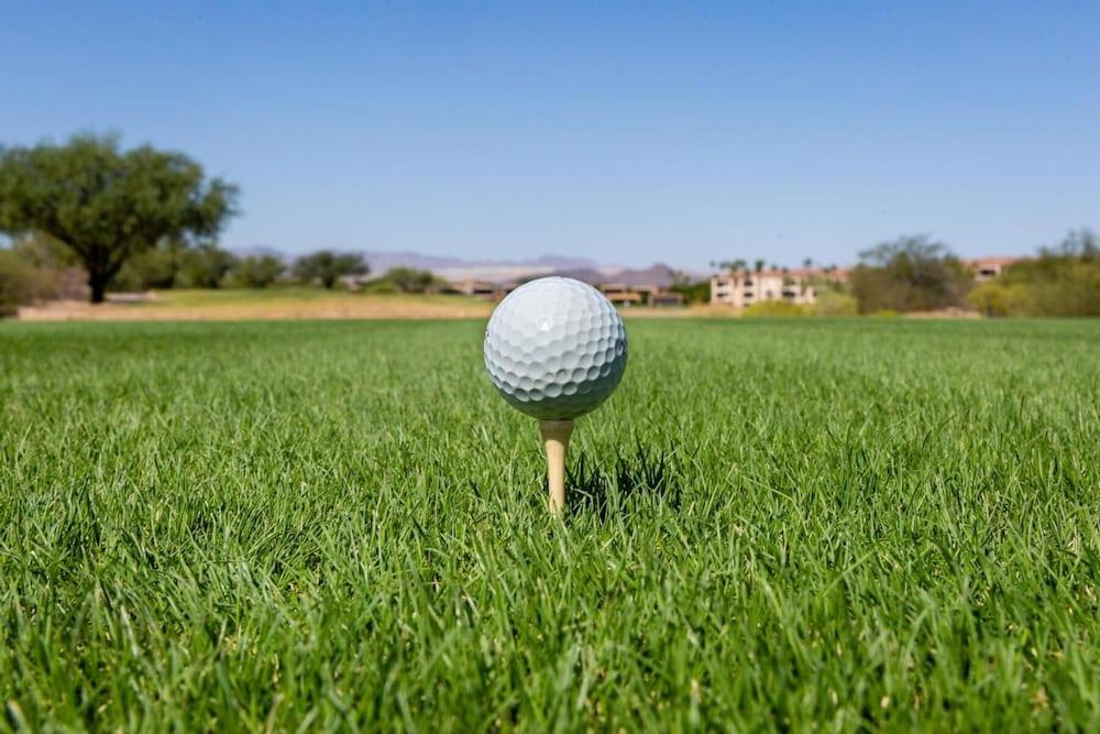 Canoa Ranch Golf Resort photo 17