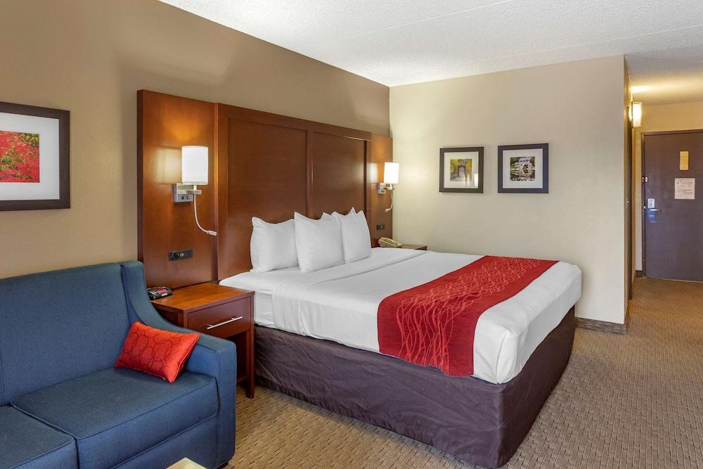 Comfort Inn & Suites Rochelle - DeKalb photo 14