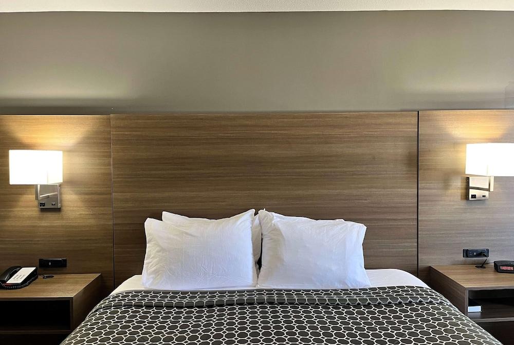 Baymont by Wyndham Anderson photo 18