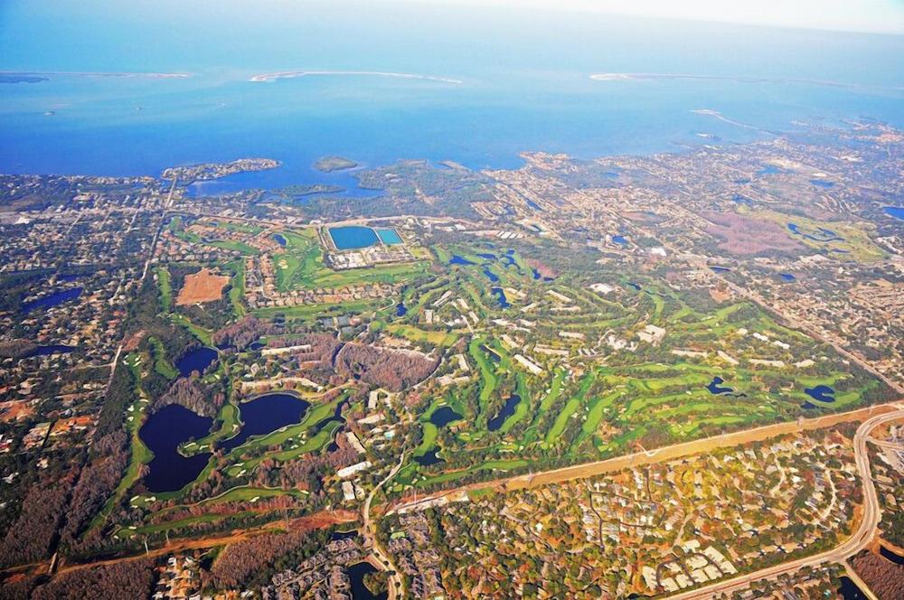 Innisbrook Resort photo 43