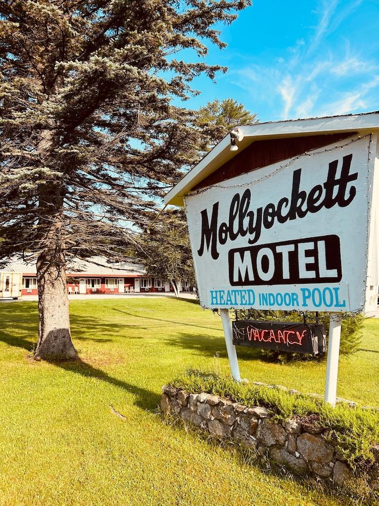 Mollyockett Motel & Swim Spa photo 1
