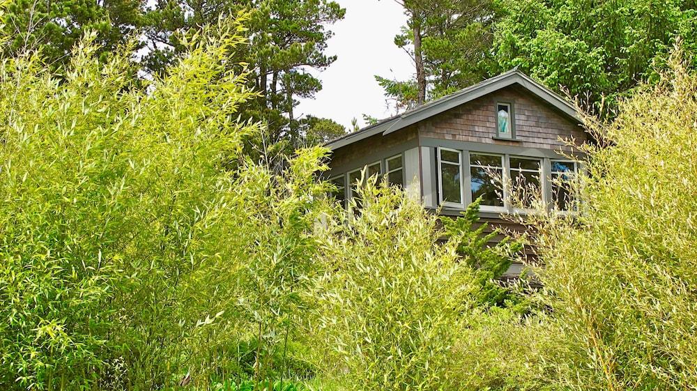 Coast Cabins photo 81