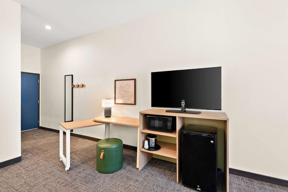 Spark by Hilton Mansfield photo 13