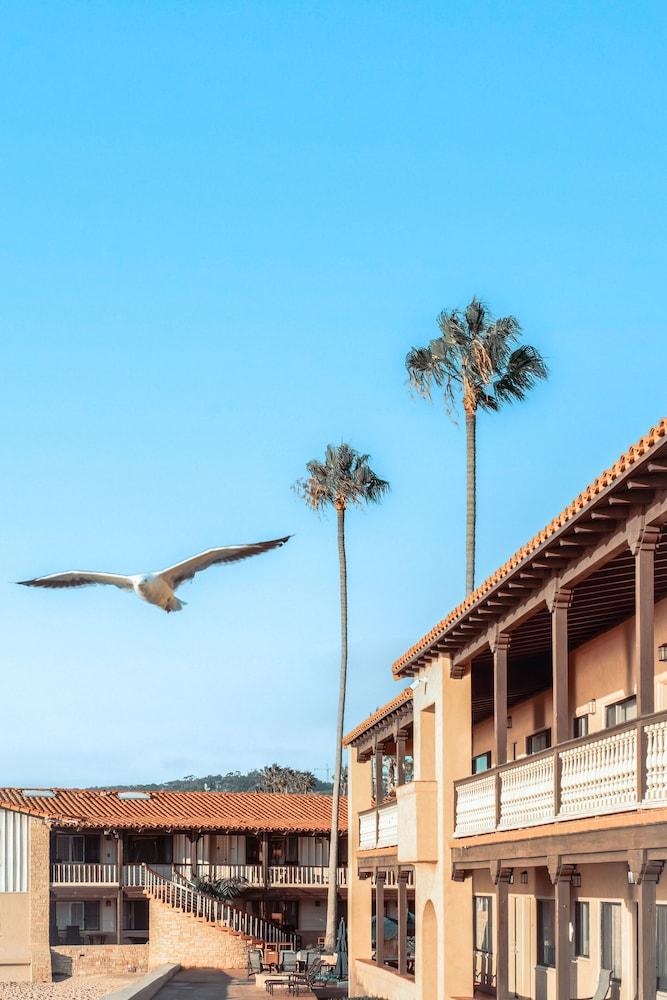 La Jolla Beach and Tennis Club photo 65