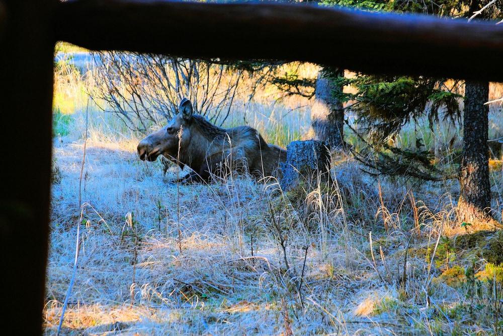 Bear Paw Adventure photo 92