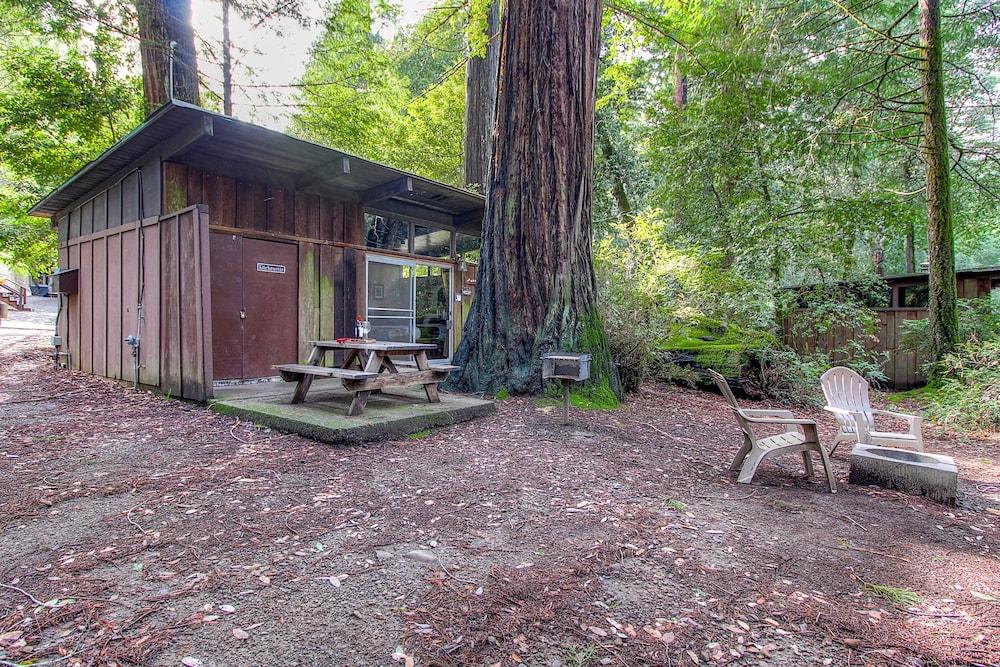 Redwoods River Resort photo 81