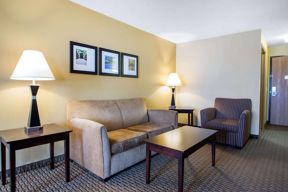 Comfort Suites Wisconsin Dells Area photo 42