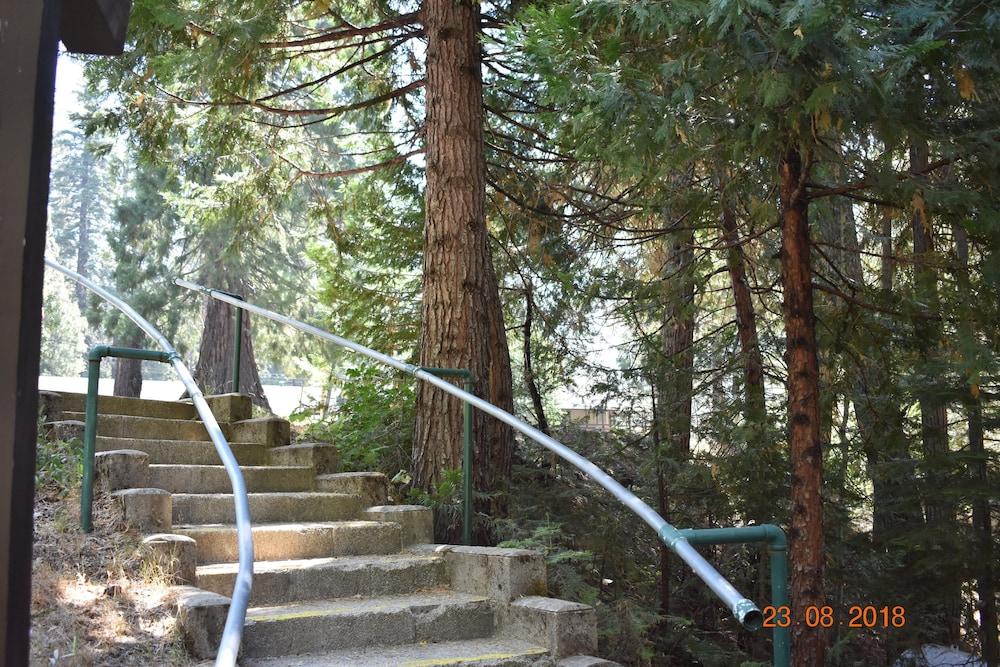 White Chief Mountain Lodge photo 36