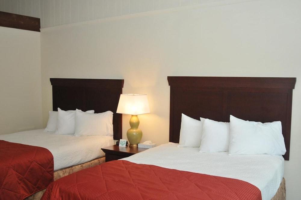Tea Island Resort photo 5