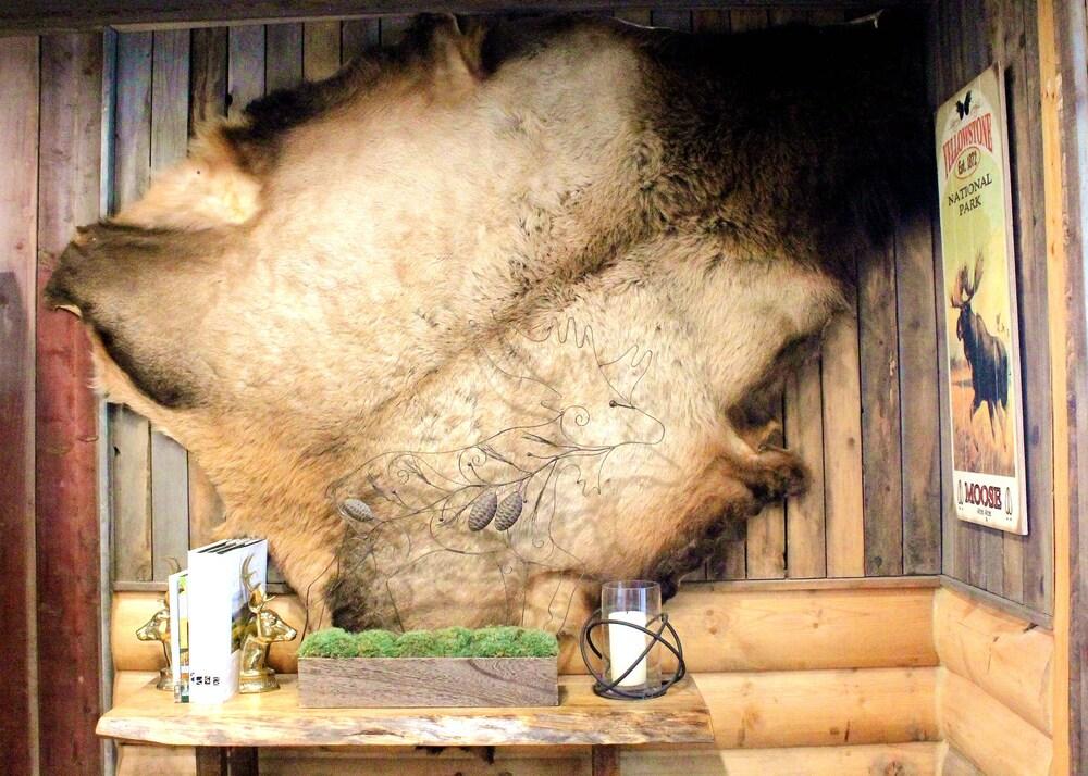 Moose Creek Inn photo 47