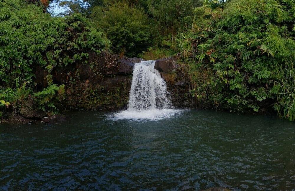 Kikala Waterfall Lodge photo 21