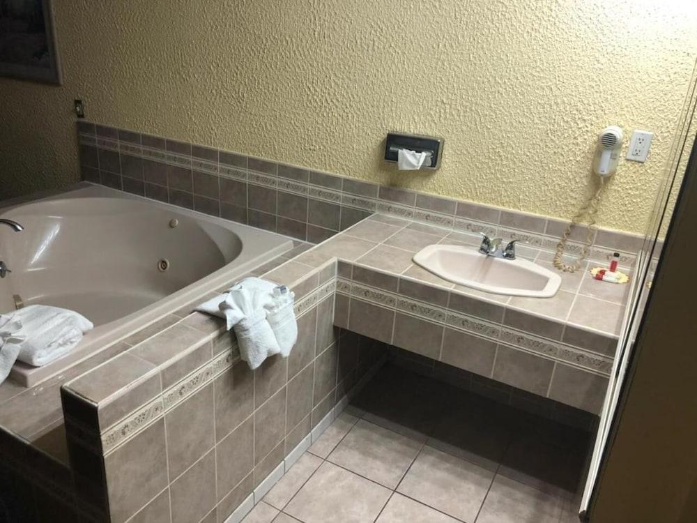 Schenectady Inn & Suites photo 9