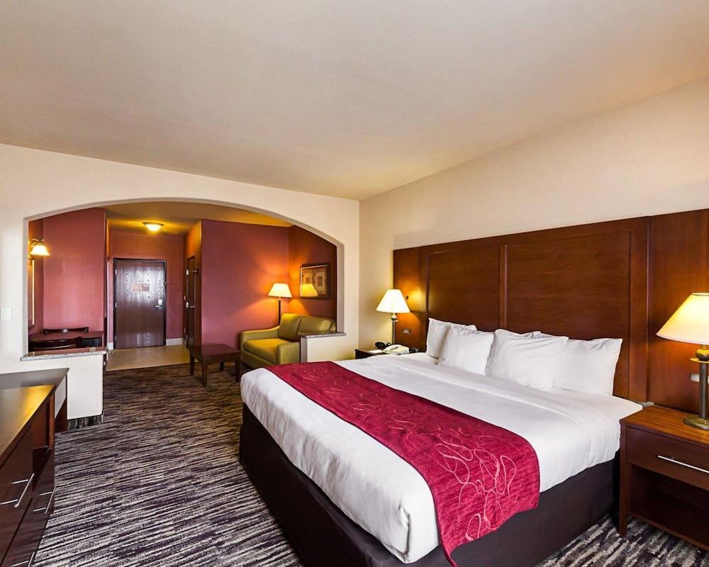 Comfort Suites McAllen photo 7