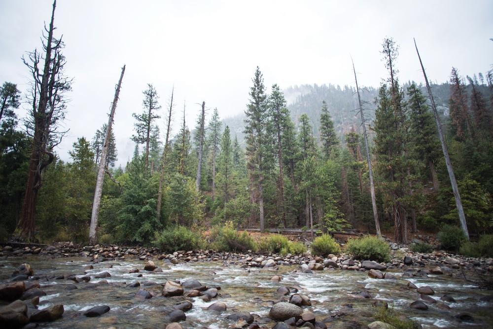 Cedar Grove Lodge photo 15