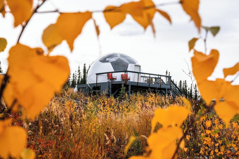Borealis Basecamp photo 1