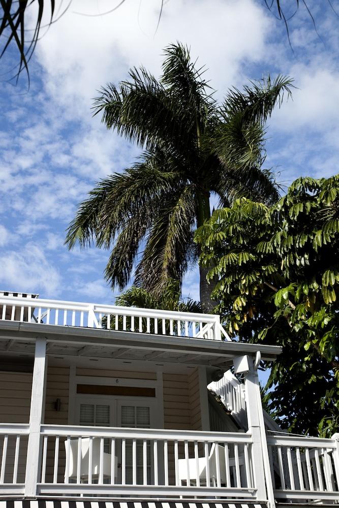 Alexanders Guesthouse - Adult Exclusive, LGBTQ Friendly photo 77