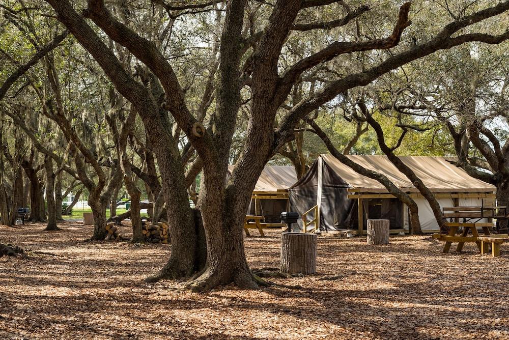 Westgate River Ranch Resort & Rodeo photo 62