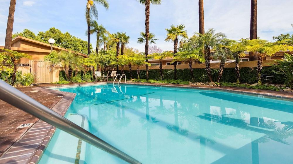 Best Western Pine Tree Motel photo 2