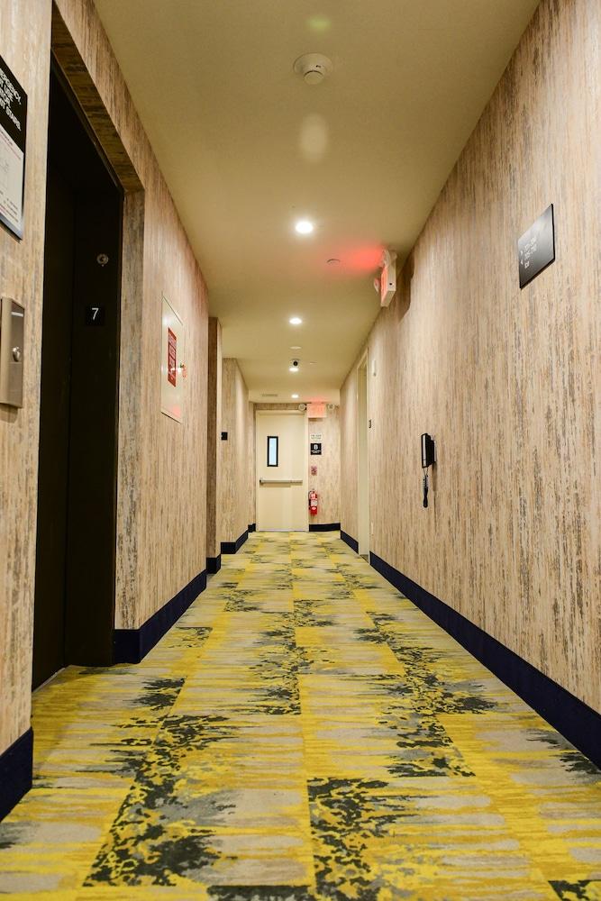 Super 8 by Wyndham Bronx Near Botanical Garden photo 22