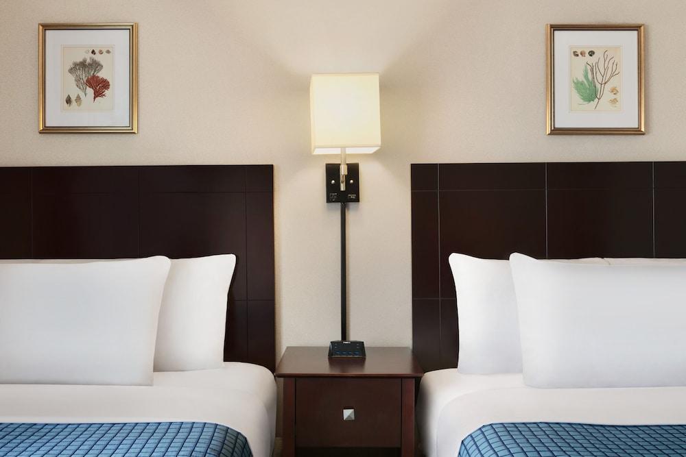 Harrison Hall Hotel photo 37