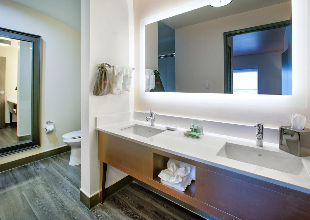 Holiday Inn DFW South by IHG photo 16